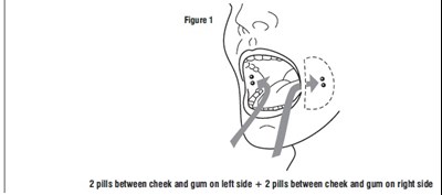 Figure 1 (Figure 1)
